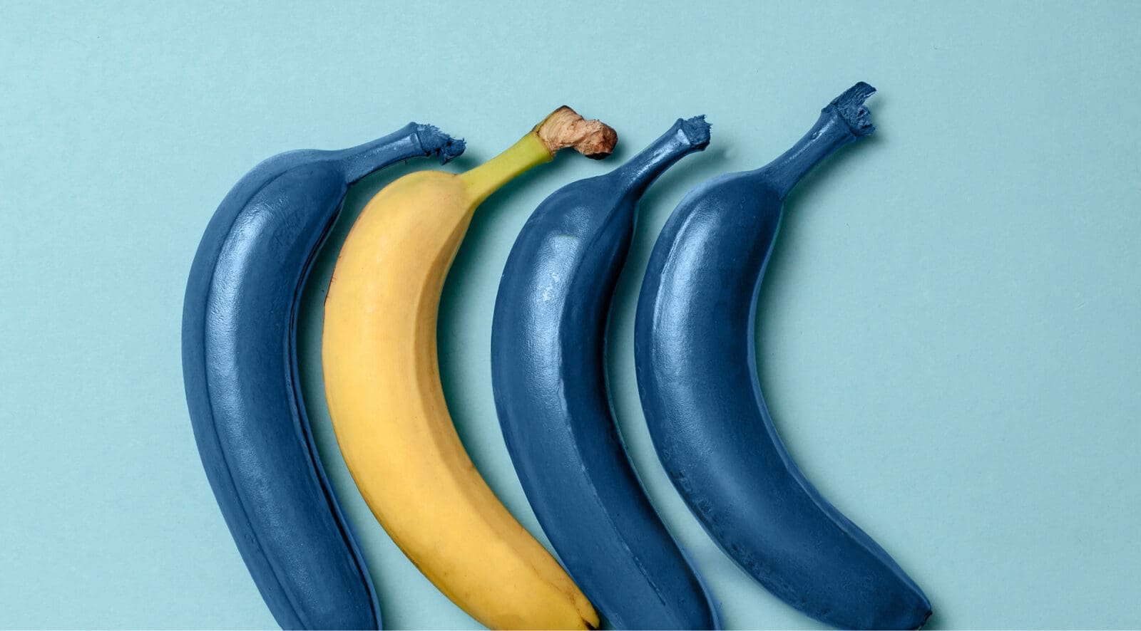 Pale blue background four bananas lying sideways in a row, first is blue, second is yellow and third and fourth are blue